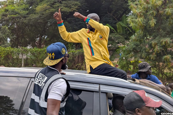 NRM Primaries