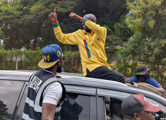 NRM Primaries