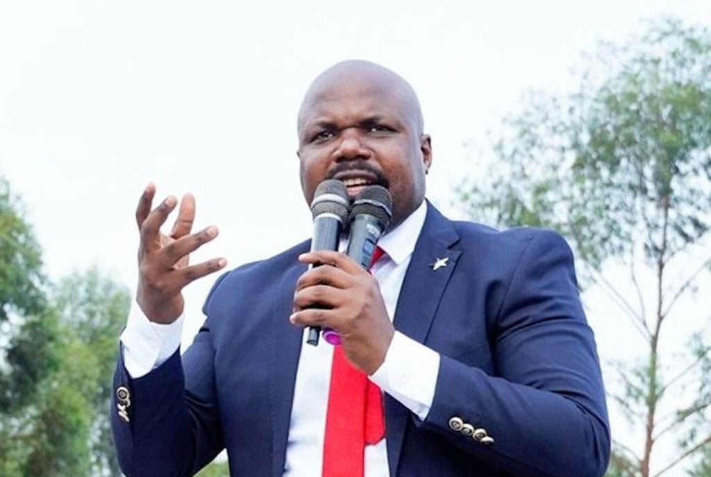 Munyagwa -The Term ‘Protest Vote’ Is So Discouraging